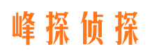 泽库市私家侦探